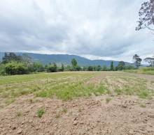 Imágen 1 de inmueble COD: 33070