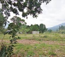 Imágen 11 de inmueble COD: 33070