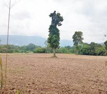 Imágen 12 de inmueble COD: 33070