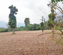 Imágen 13 de inmueble COD: 33070