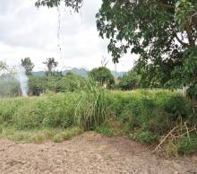 Imágen 2 de inmueble COD: 33070