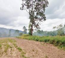 Imágen 3 de inmueble COD: 33070