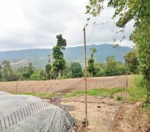 Imágen 7 de inmueble COD: 33070