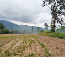 Imágen 8 de inmueble COD: 33070