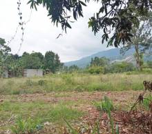 Imágen 9 de inmueble COD: 33070