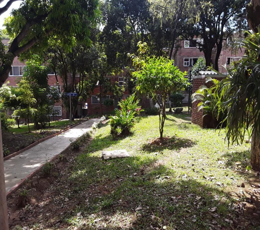 Imágen 15 de inmueble COD: 1244