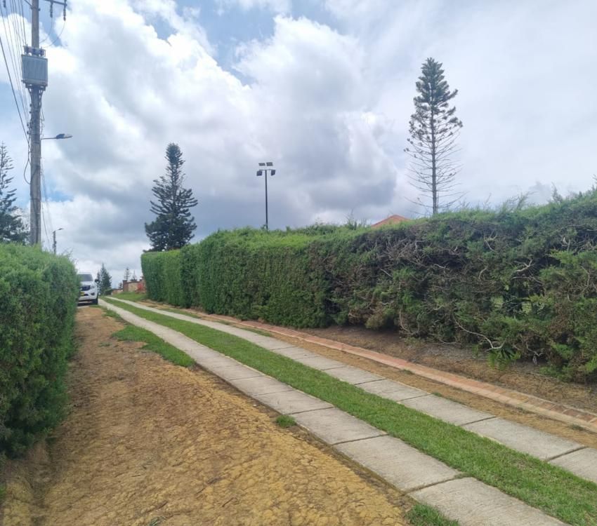 Imágen 3 de inmueble COD: 36659