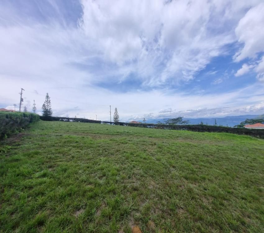 Imágen 7 de inmueble COD: 36659