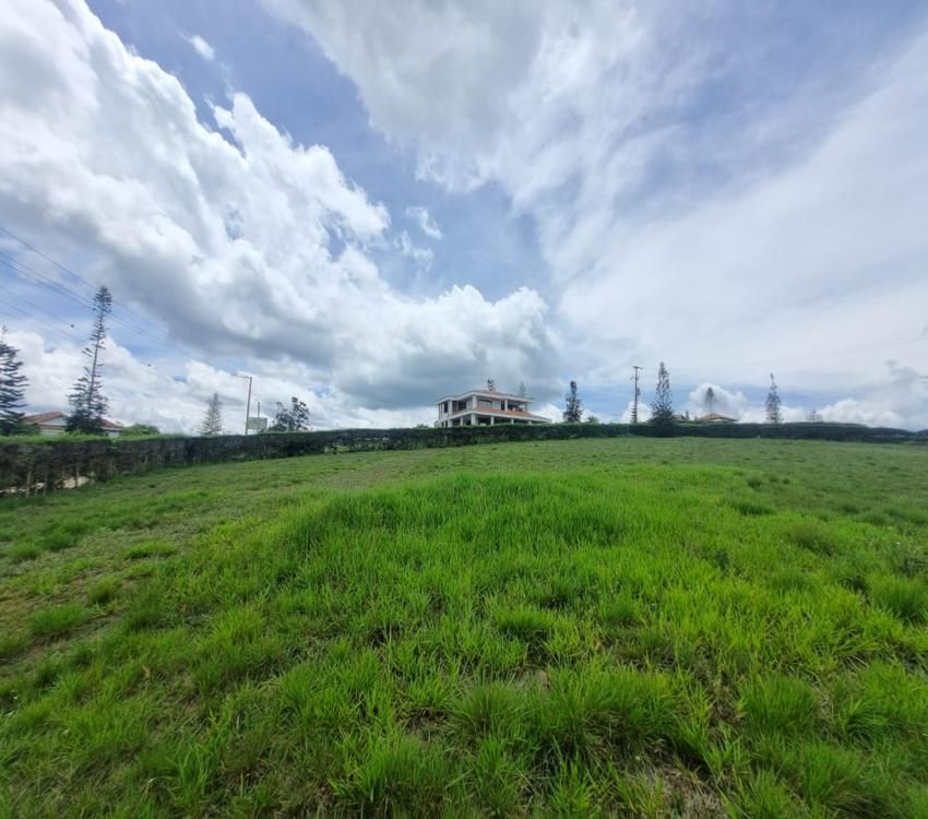 Imágen 8 de inmueble COD: 36659