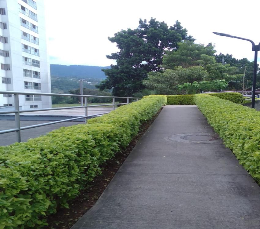 Imágen 21 de inmueble COD: 36706