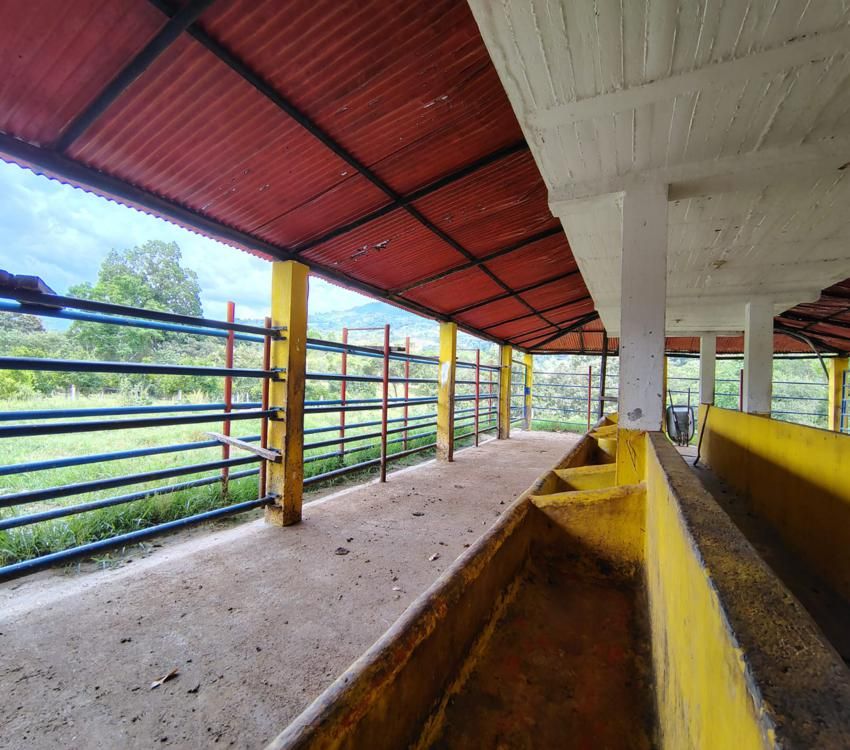 Imágen 22 de inmueble COD: 34349