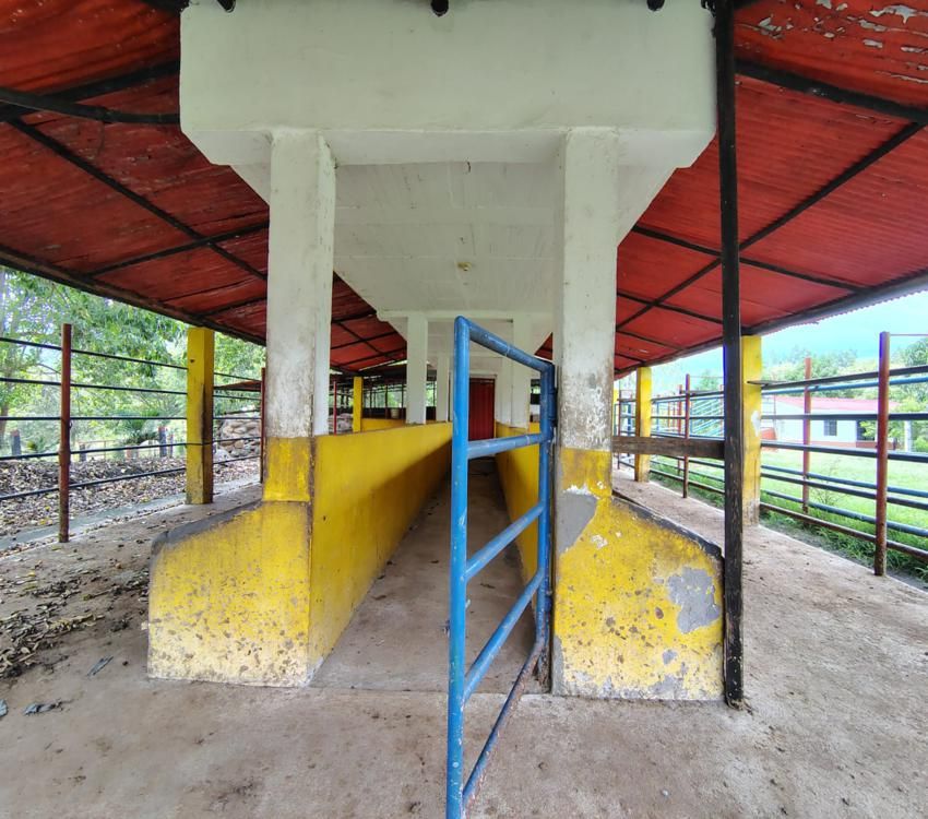 Imágen 23 de inmueble COD: 34349