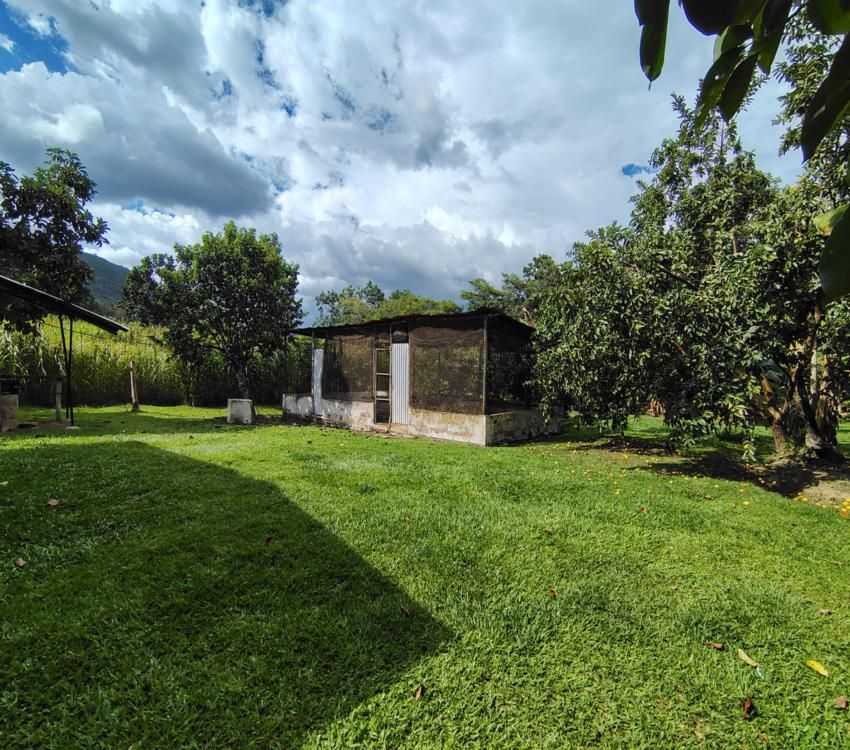 Imágen 24 de inmueble COD: 34349