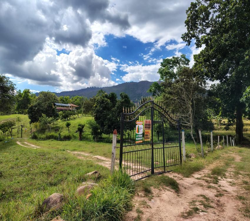 Imágen 25 de inmueble COD: 34349