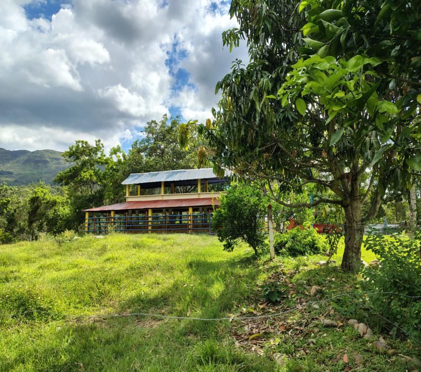 Imágen 26 de inmueble COD: 34349