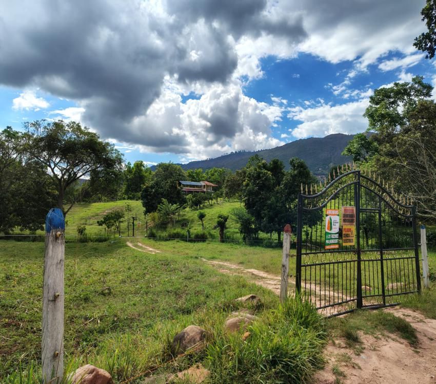 Imágen 28 de inmueble COD: 34349