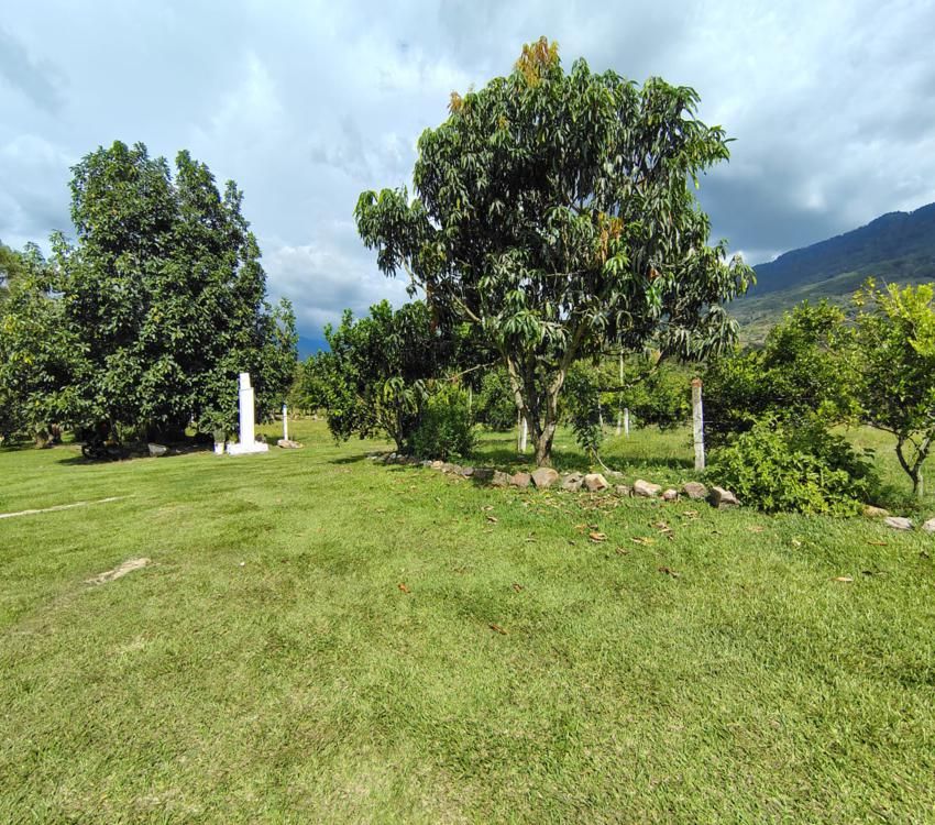 Imágen 29 de inmueble COD: 34349