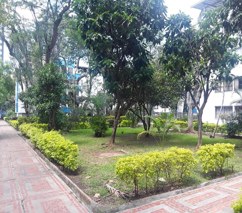 Imágen 15 de inmueble COD: 36904