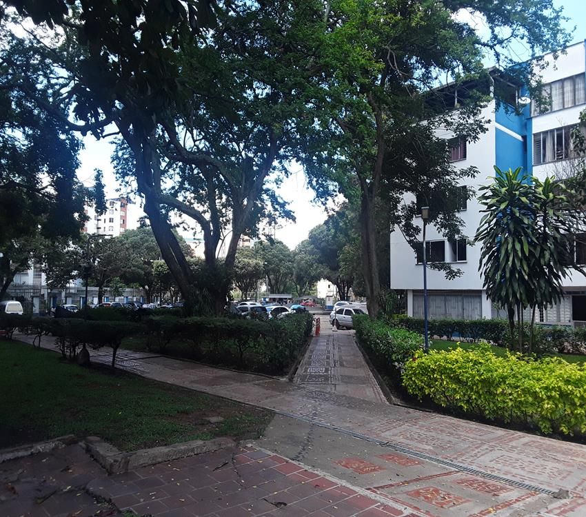 Imágen 19 de inmueble COD: 36904