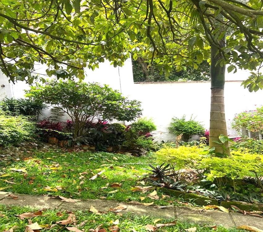 Imágen 20 de inmueble COD: 36935