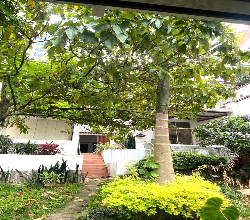 Imágen 21 de inmueble COD: 36935