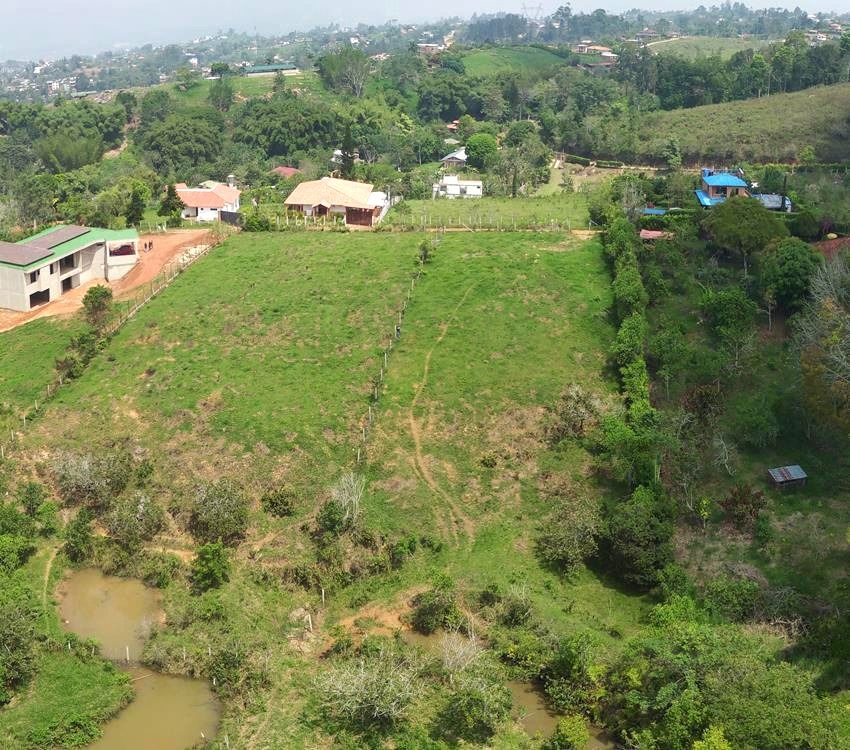 Imágen 4 de inmueble COD: 36980