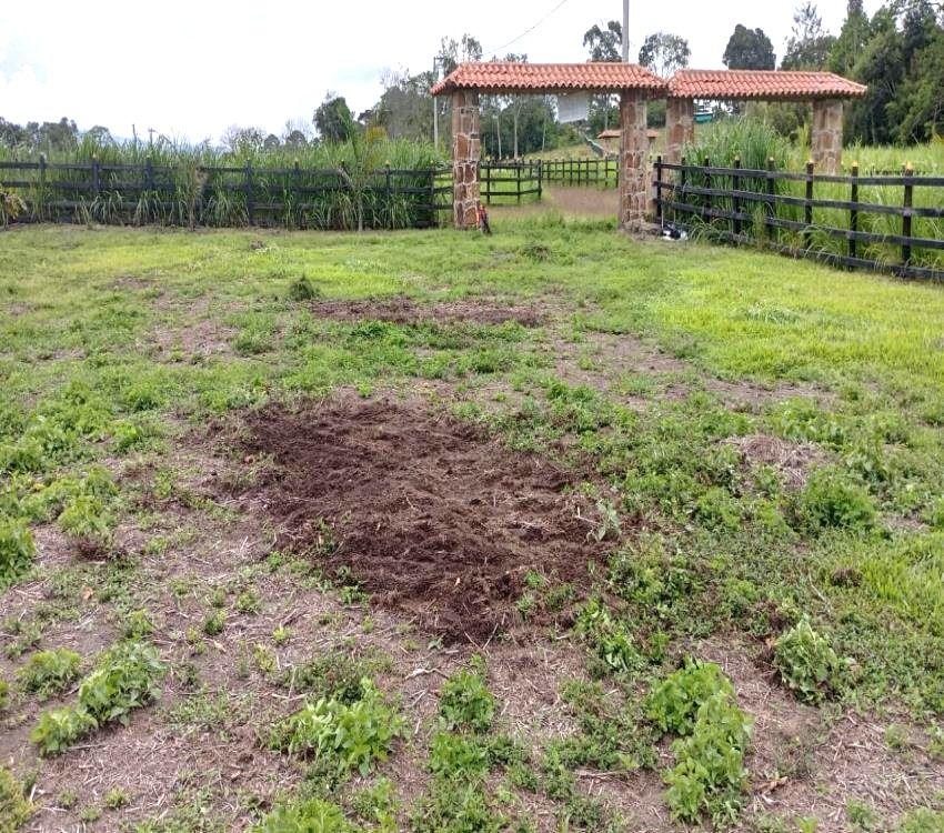 Imágen 0 de inmueble COD: 36993