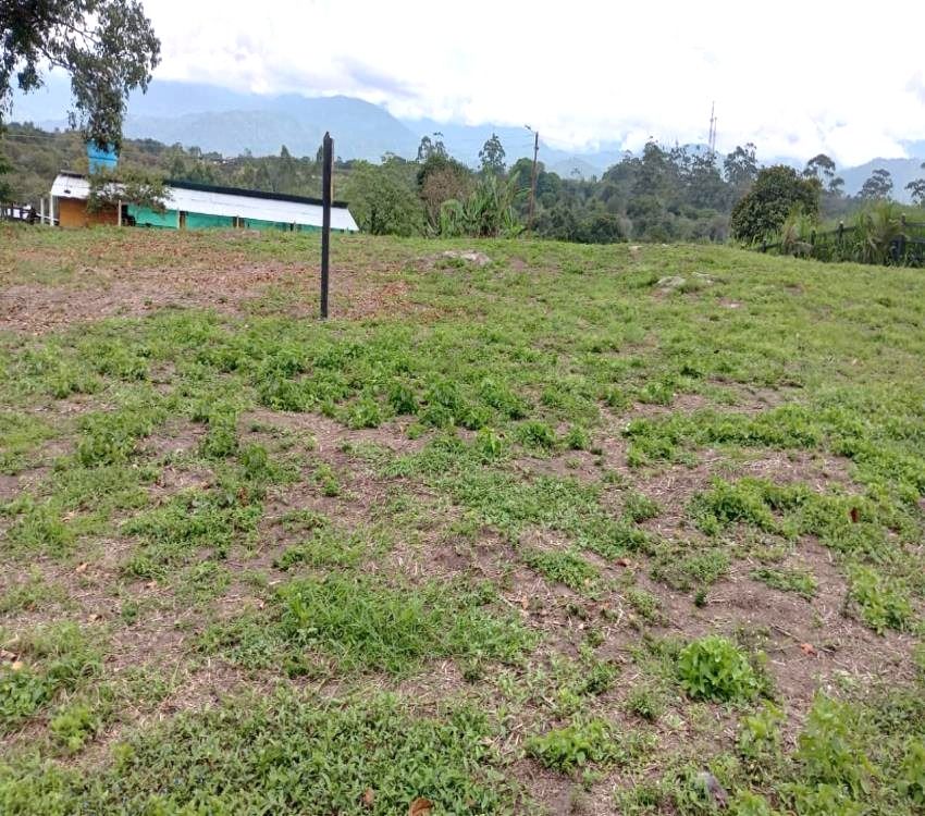 Imágen 1 de inmueble COD: 36993