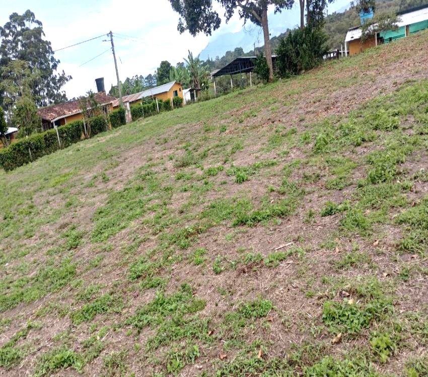 Imágen 2 de inmueble COD: 36993