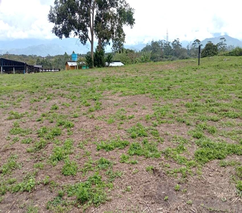 Imágen 3 de inmueble COD: 36993