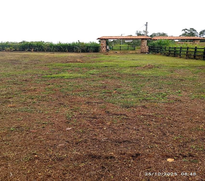 Imágen 4 de inmueble COD: 36993