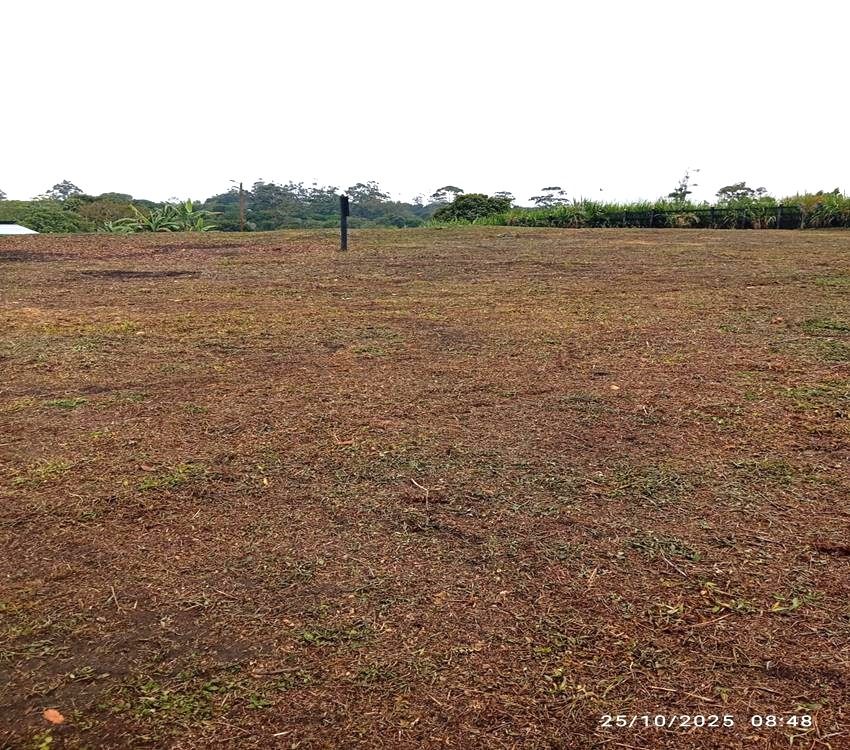 Imágen 5 de inmueble COD: 36993