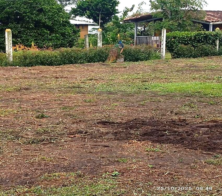 Imágen 6 de inmueble COD: 36993