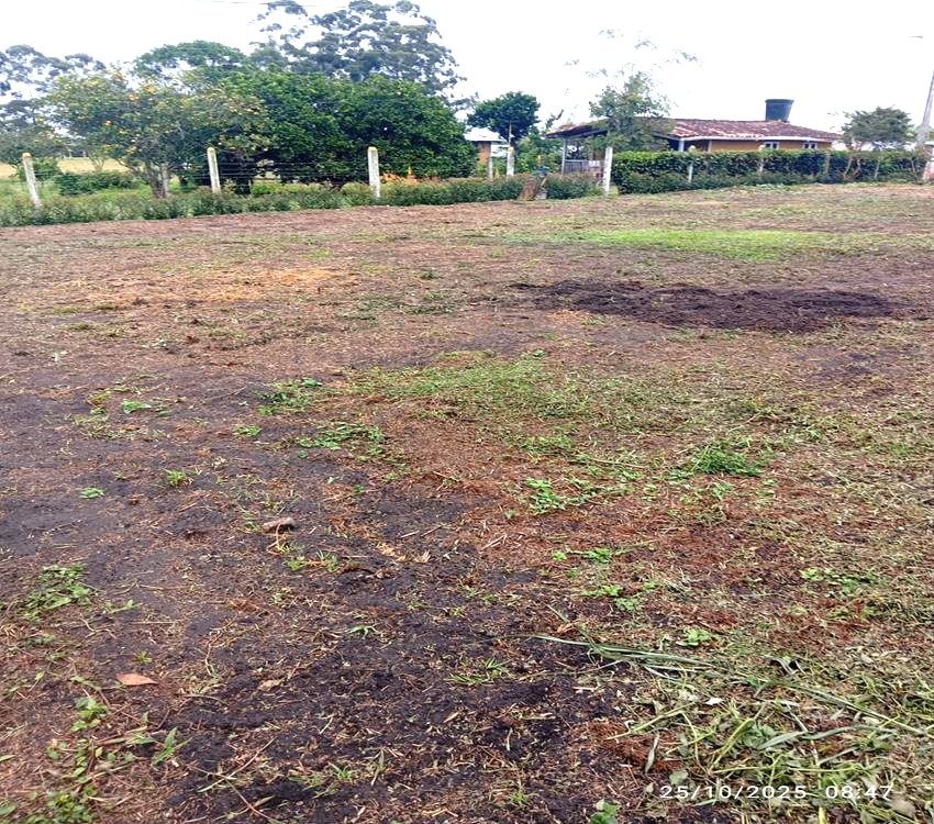 Imágen 7 de inmueble COD: 36993