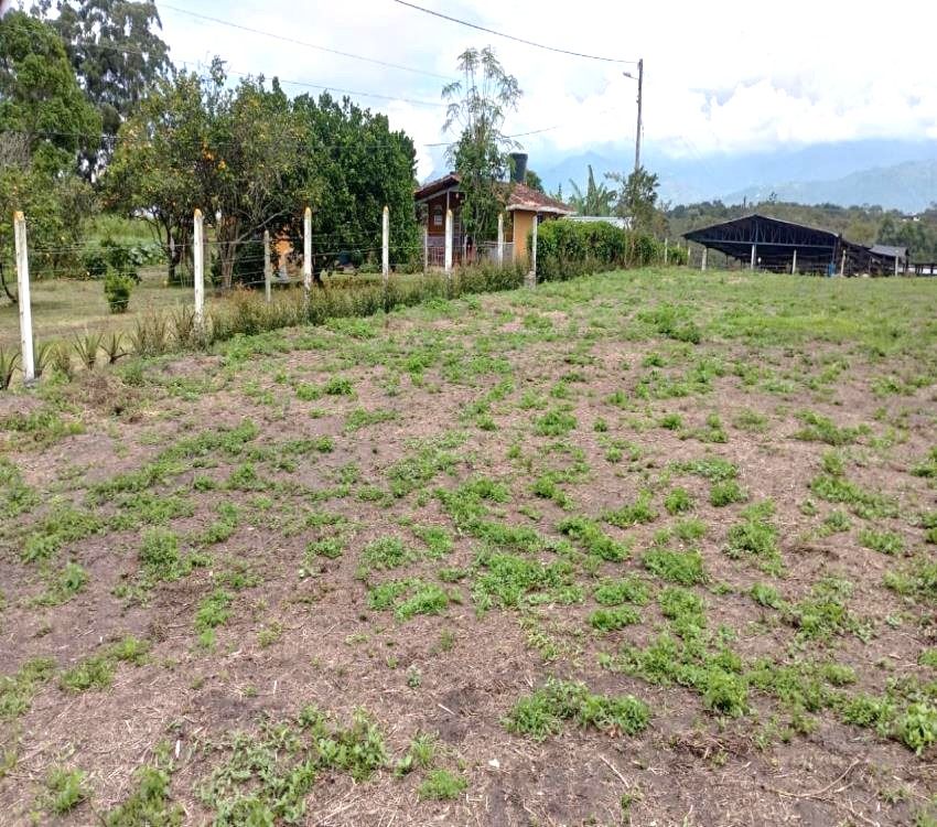 Imágen 8 de inmueble COD: 36993