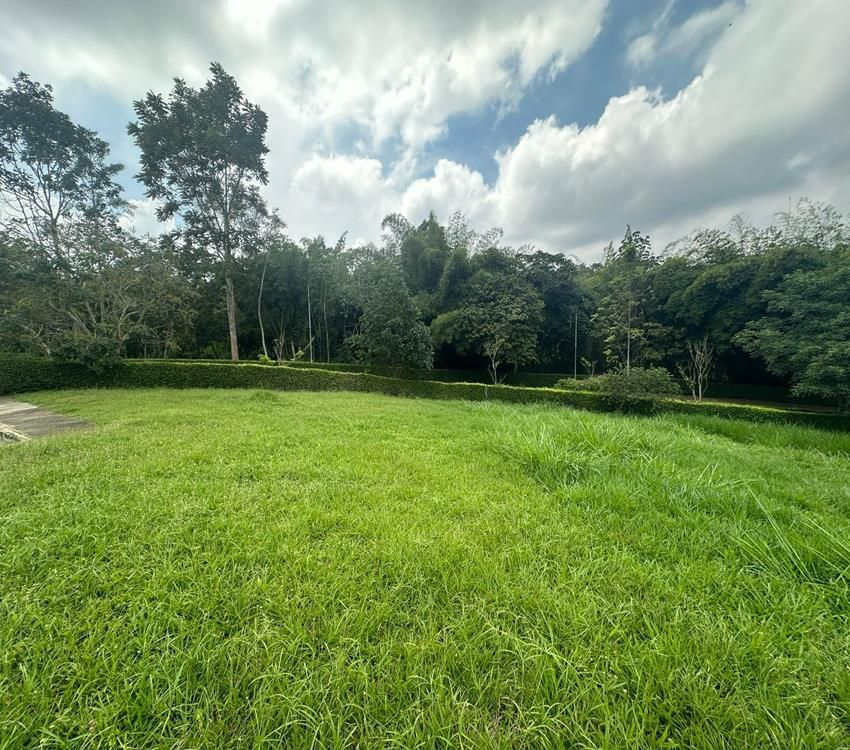 Imágen 6 de inmueble COD: 36974