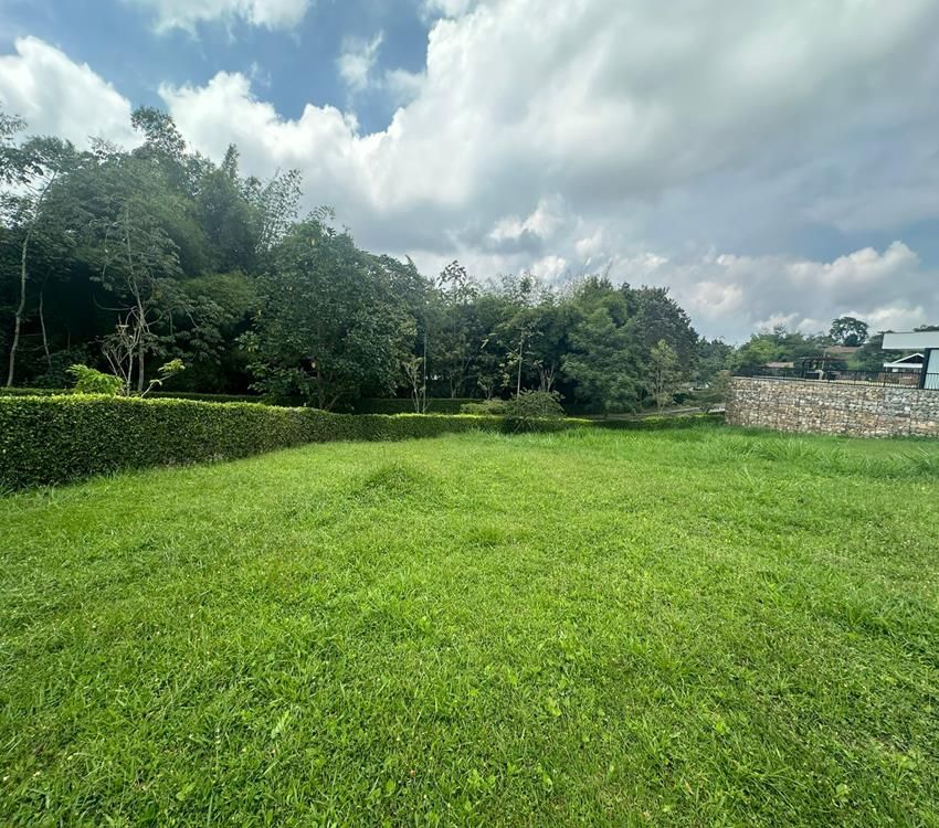 Imágen 7 de inmueble COD: 36974