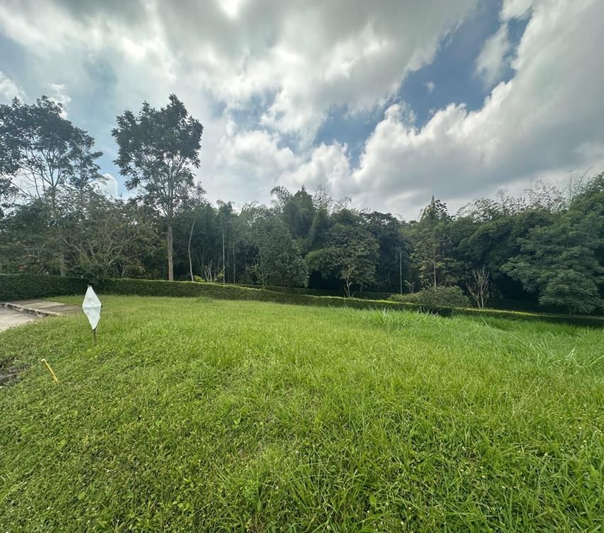 Imágen 8 de inmueble COD: 36974