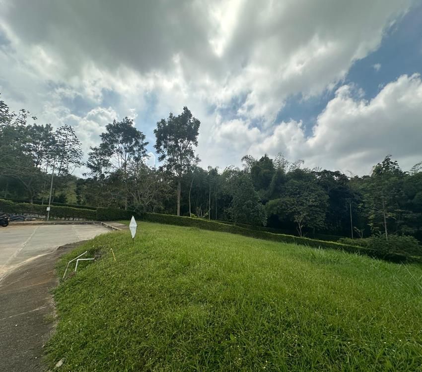 Imágen 9 de inmueble COD: 36974