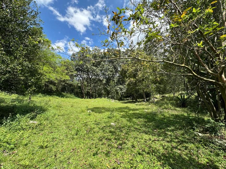 Imágen 0 de inmueble COD: 37016