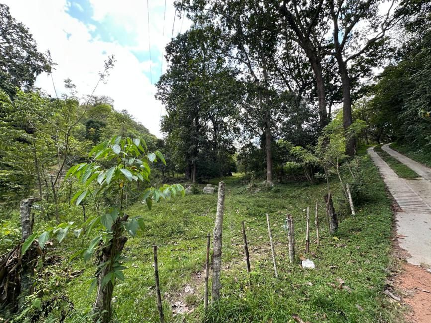 Imágen 1 de inmueble COD: 37016