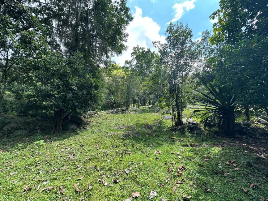 Imágen 10 de inmueble COD: 37016