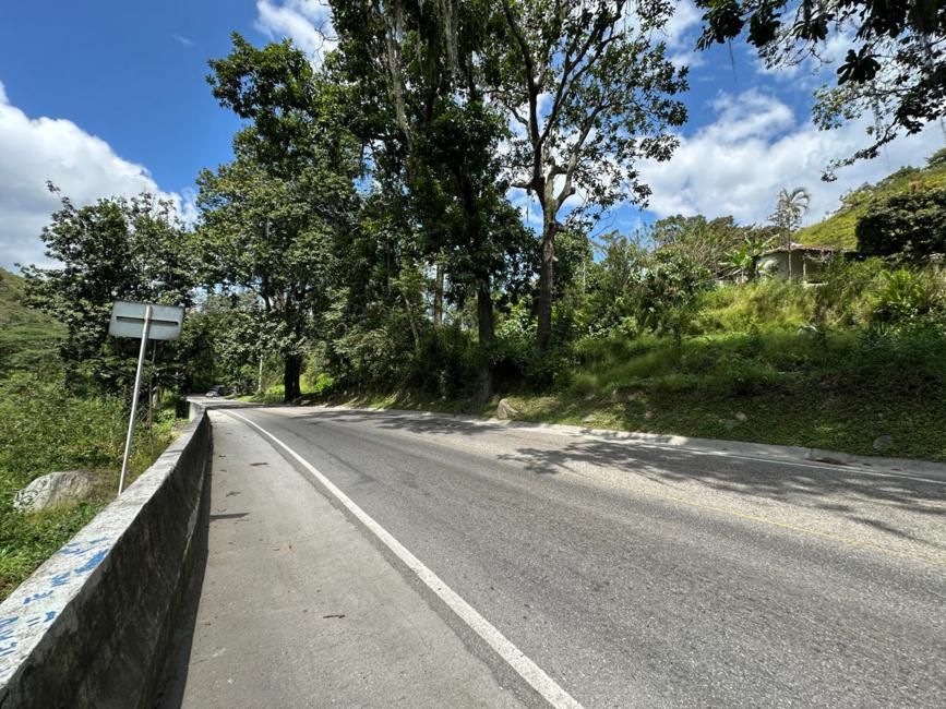 Imágen 11 de inmueble COD: 37016