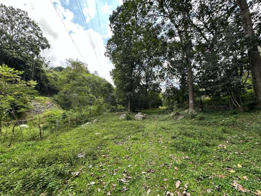 Imágen 3 de inmueble COD: 37016