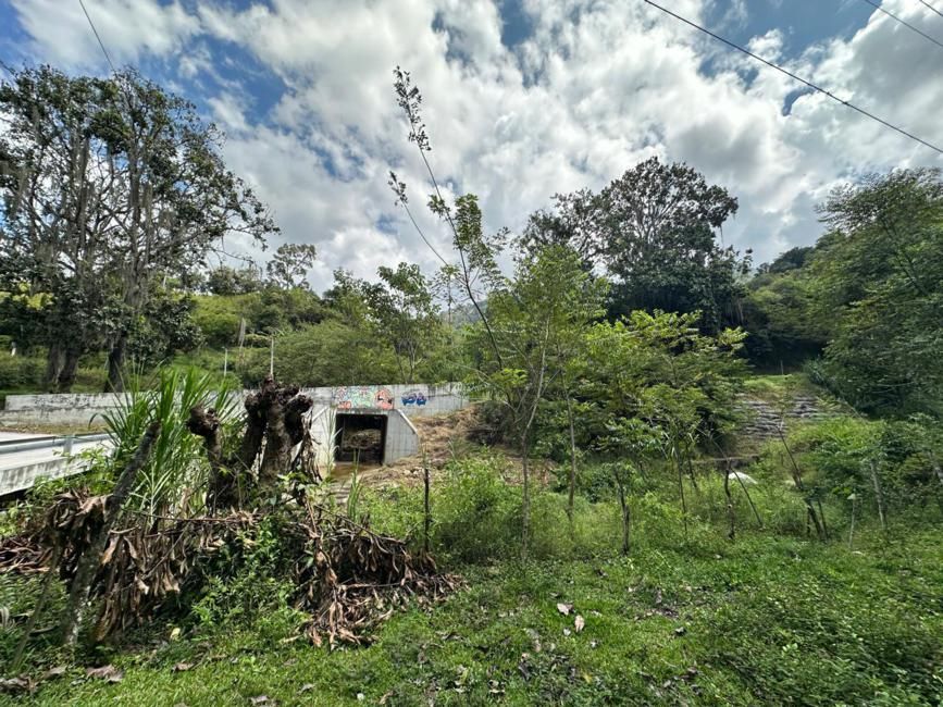 Imágen 6 de inmueble COD: 37016