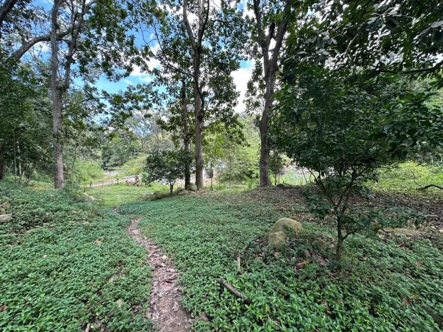 Imágen 8 de inmueble COD: 37016