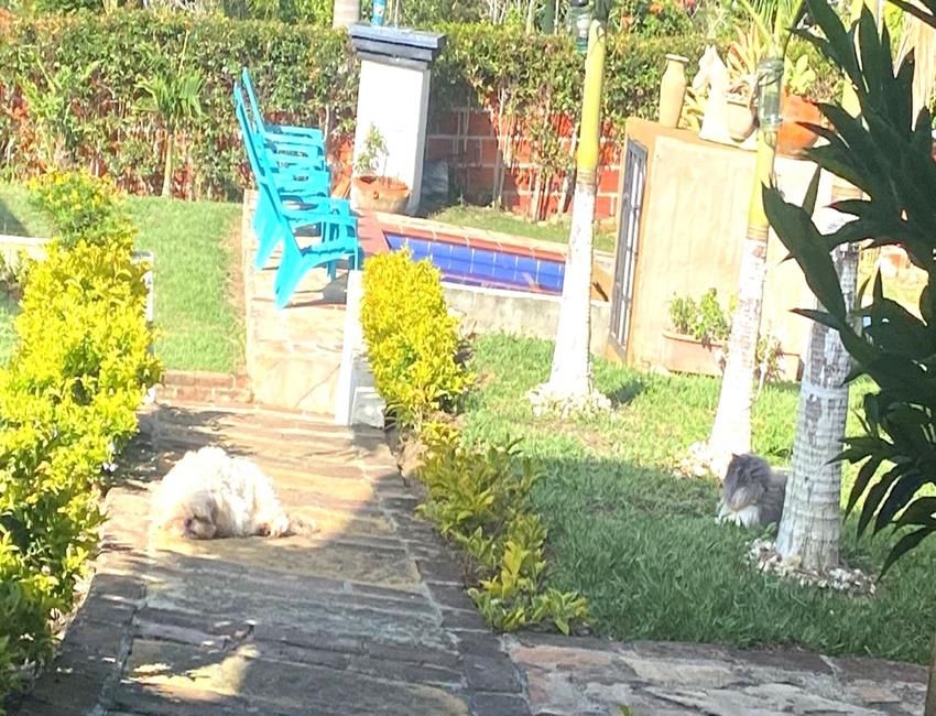 Imágen 23 de inmueble COD: 37119